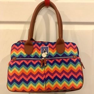 Cool Mimosa Multi Color Chevron Bag